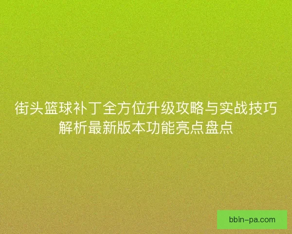 街头篮球补丁全方位升级攻略与实战技巧解析最新版本功能亮点盘点